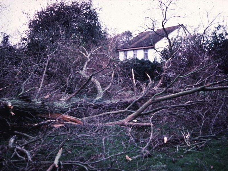 30 Years After the Great Storm - what happened?